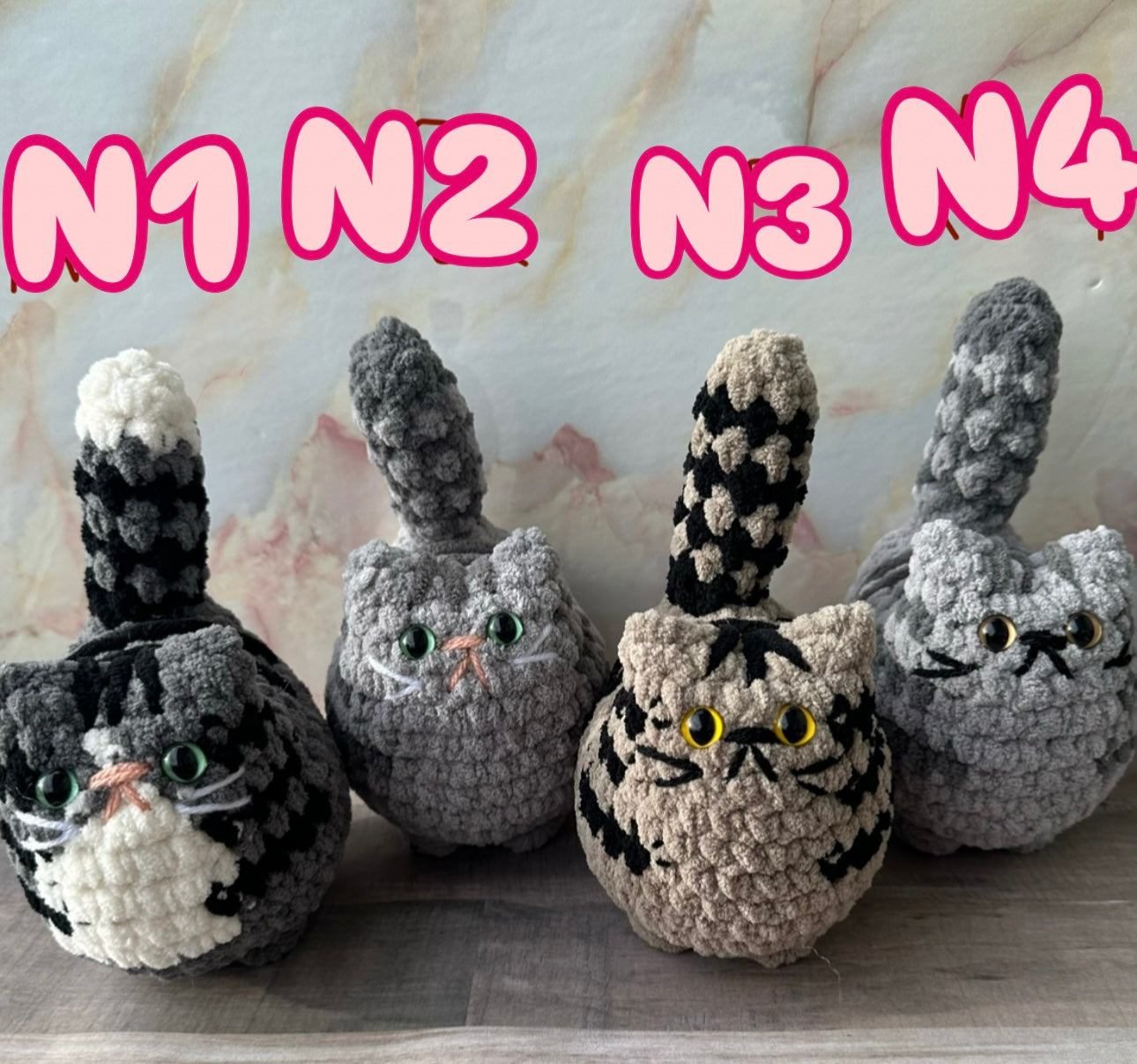 Cats-N