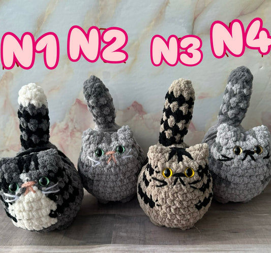 Cats-N