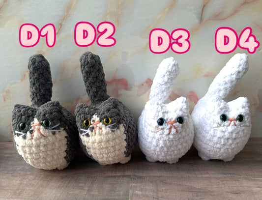 Cats-d