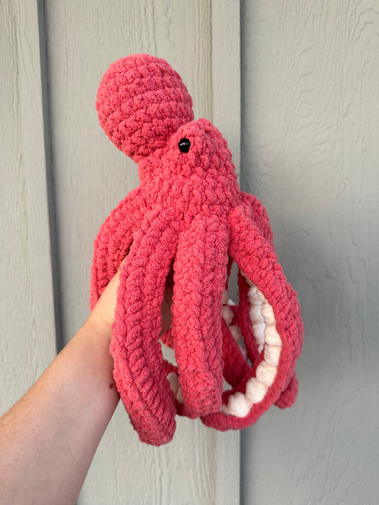 Octopus