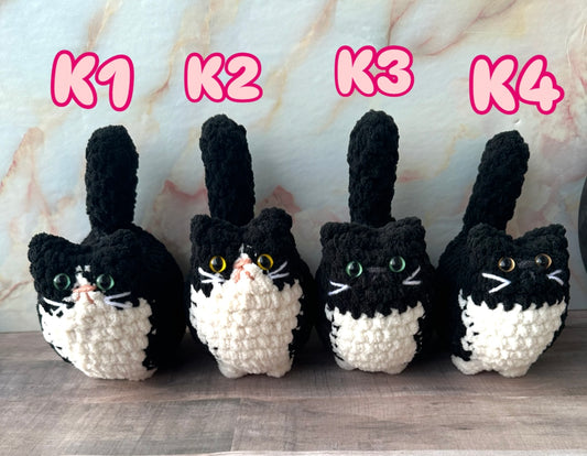 Cats-K