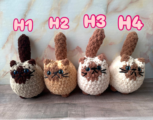 Cats-H
