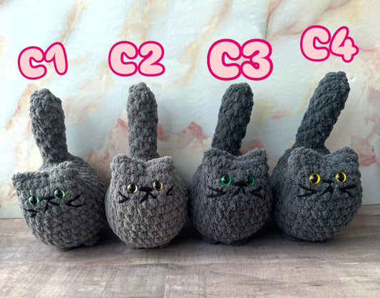 Cats-c