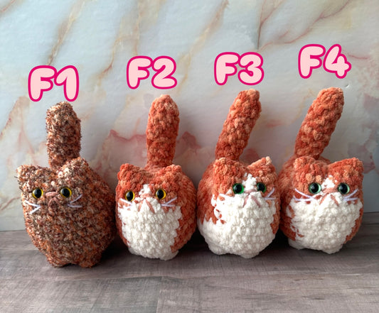 Cats-F