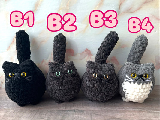 Cats-B