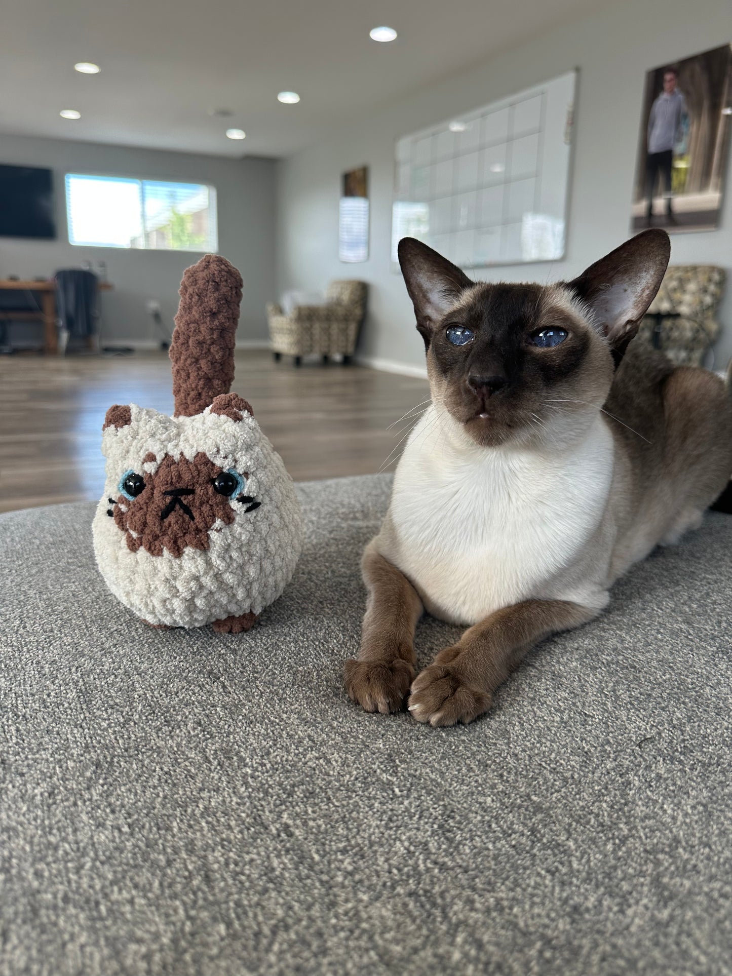 Custom Crochet Cat